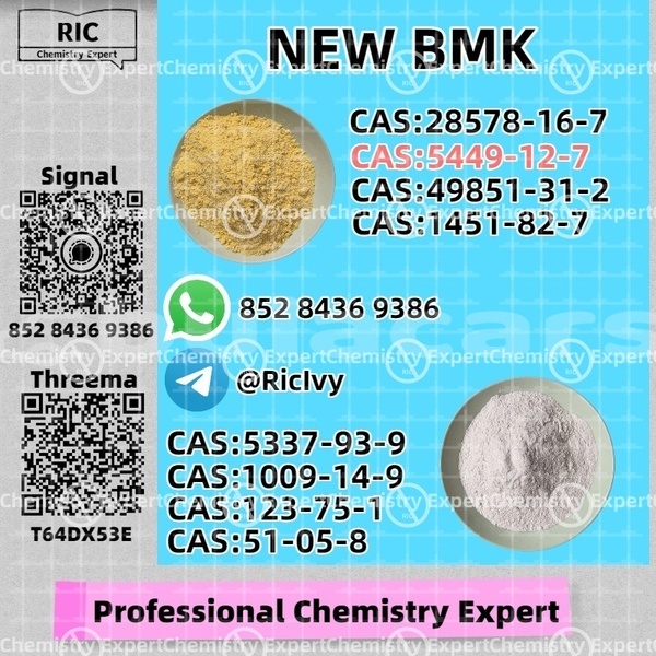 Big with watermark adler trumpf junior western komave 13456