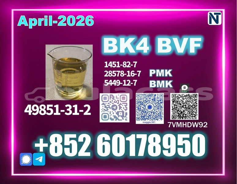 Big with watermark ford mustang central import dubai 13465