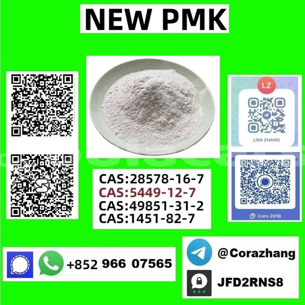 Big with watermark adler trumpf junior western barotu 13487