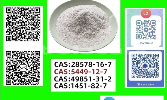 Buy New Adler Trumpf Junior Brown Car in Barotu in Western