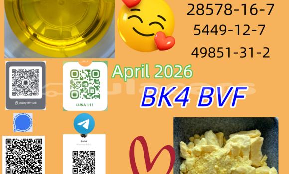 Buy Used Alfa Romeo 145 Beige Car in Barotu in Western