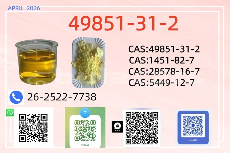 Big with watermark 0413 49851