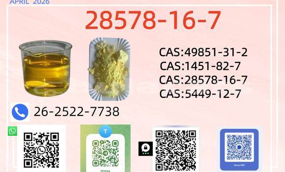 Medium with watermark 0413 28578