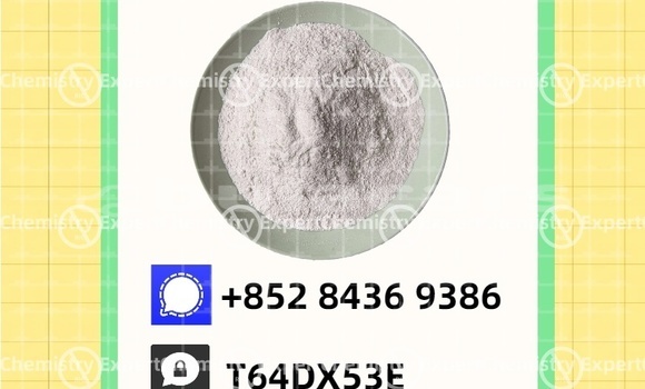 Buy Used Aurus Senat Other Car in Deuba in Central