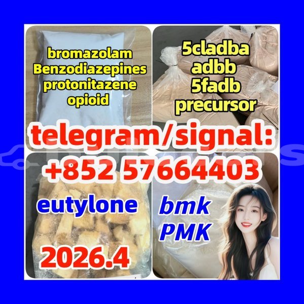 Big with watermark z2