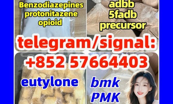 Medium with watermark z2