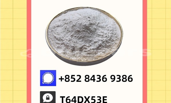 Buy Used Adler Trumpf Junior Brown Car in Import - Dubai in Central