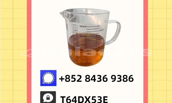 Buy Used Asia Topic Brown Car in Malhaha in Eastern