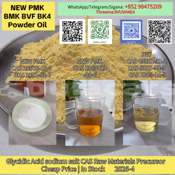 Big with watermark 7