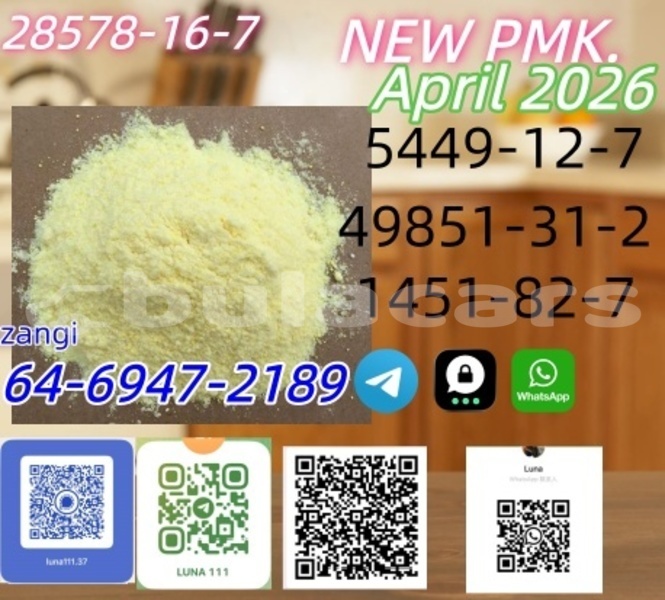 Big with watermark adler trumpf junior western barotu 13641