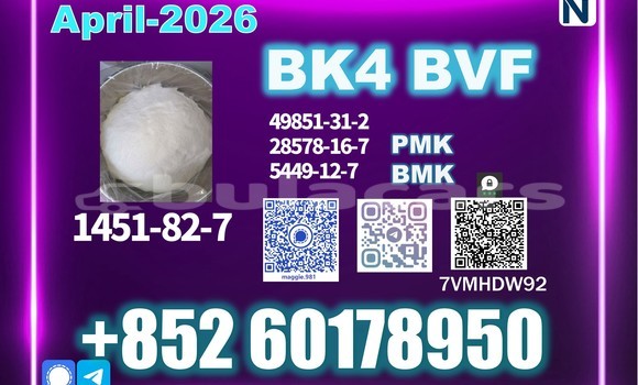 Medium with watermark bk4 2b4m cas 1451 82 7 top factory