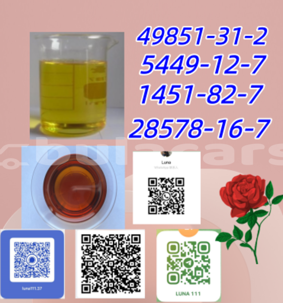 Big with watermark adler trumpf junior western barotu 13669