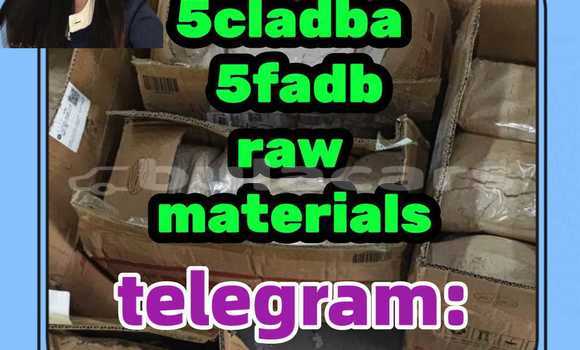 Medium with watermark 1