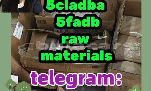 Medium with watermark 2