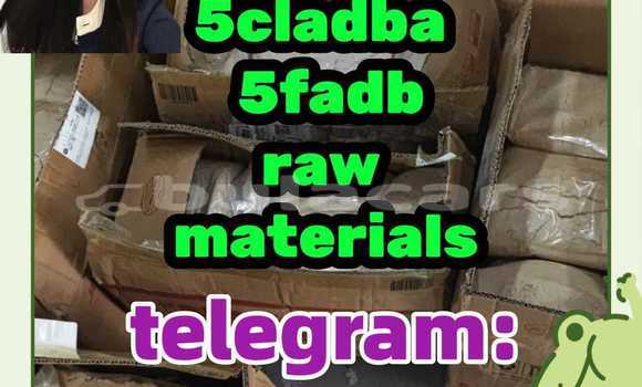 Medium with watermark 3