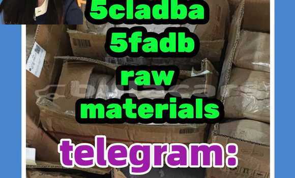 Medium with watermark 4