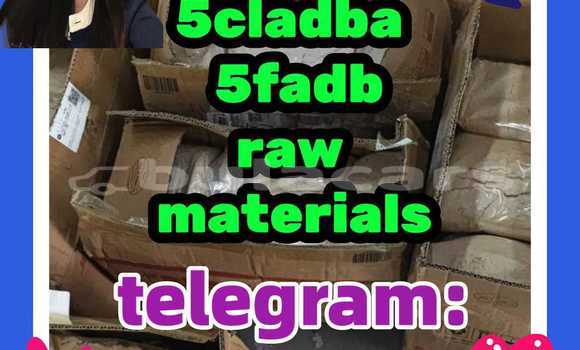 Medium with watermark 5