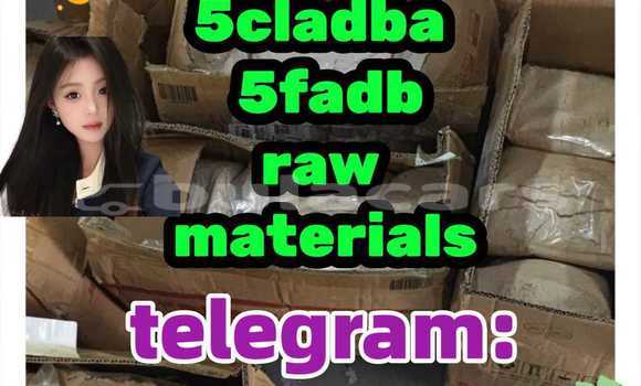 Medium with watermark 6