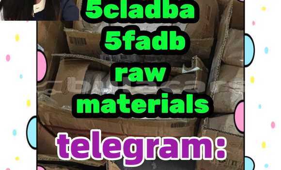 Medium with watermark 7