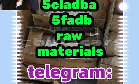 Medium with watermark 8