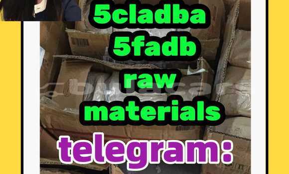 Medium with watermark 10