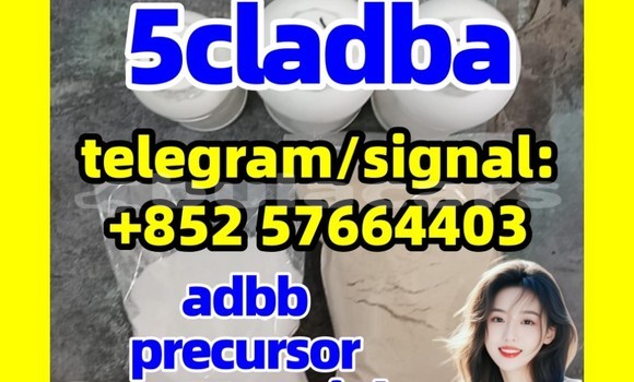 Medium with watermark 5cl1