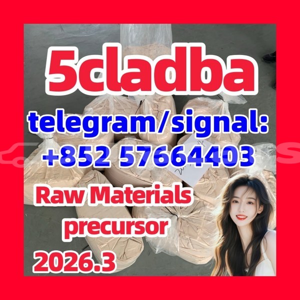 Big with watermark 551