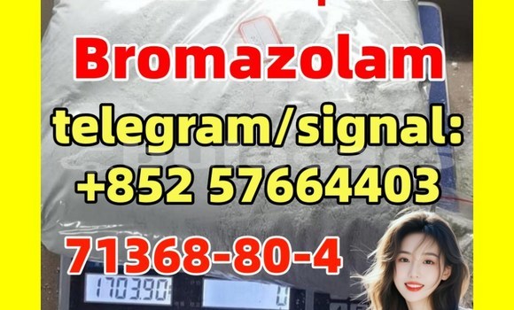 Medium with watermark b1