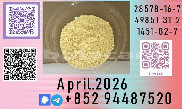 Medium with watermark b66