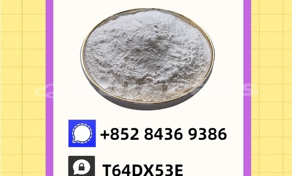 Buy Used Acura EL Blue Car in Deuba in Central Buy Used Acura EL Blue Car in Deuba in Central