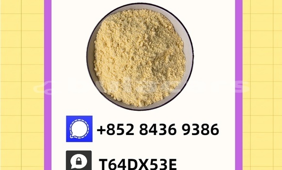 Buy Used Bitter Type 3 Brown Car in Import - Dubai in Central