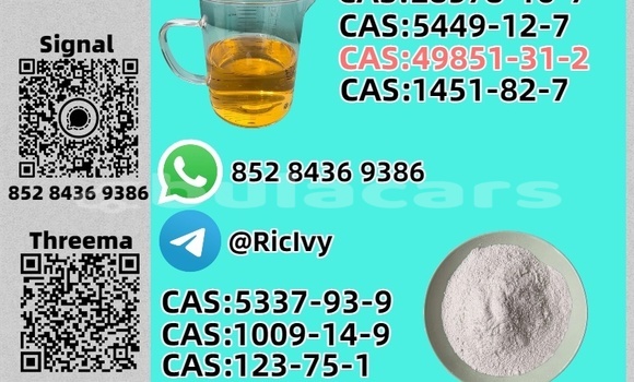 Buy Used Baltijas Dzips BD-1322 Brown Car in Komave in Western