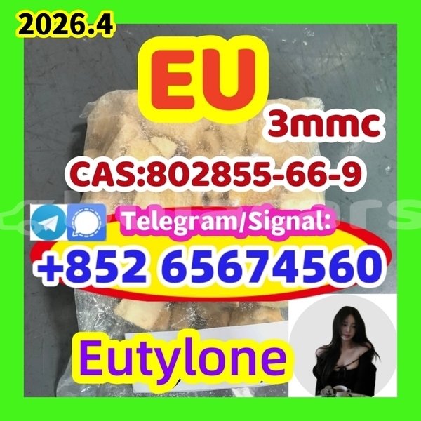 Big with watermark eutysdfrgdtgt %e5%89%af%e6%9c%ac456