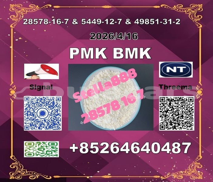 Big with watermark 7y %e5%89%af%e6%9c%ac 2 