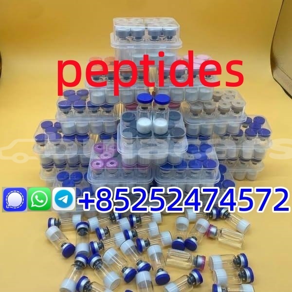 Big with watermark 58588e12 4a3c 4a51 a001 6787c6fce998 %e5%89%af%e6%9c%ac