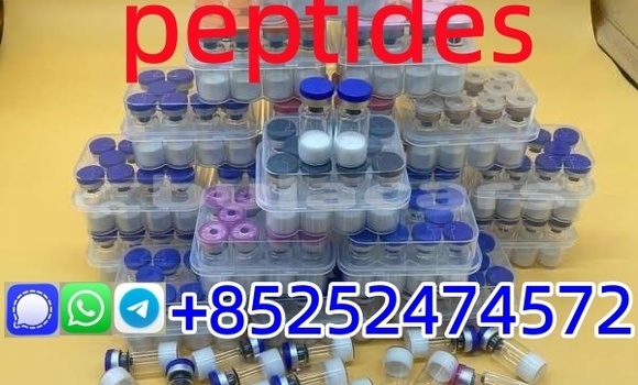 Medium with watermark 58588e12 4a3c 4a51 a001 6787c6fce998 %e5%89%af%e6%9c%ac