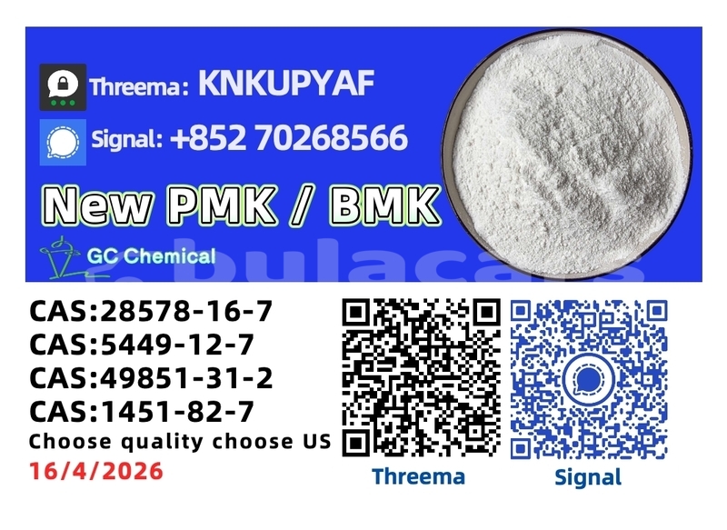 Big with watermark bristol blenheim speedster western ba 13781