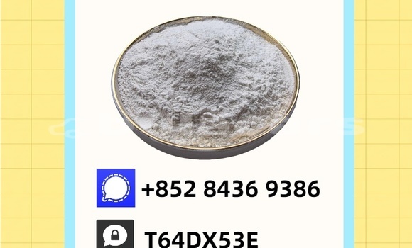 Buy Used Chana Benni Green Car in Nadi in Western