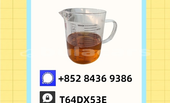 Buy Used Bertone Freeclimber Brown Car in Komave in Western