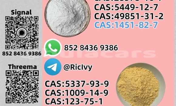 Buy Used Donkervoort D8 GTO Brown Car in Waiyevo in Northern