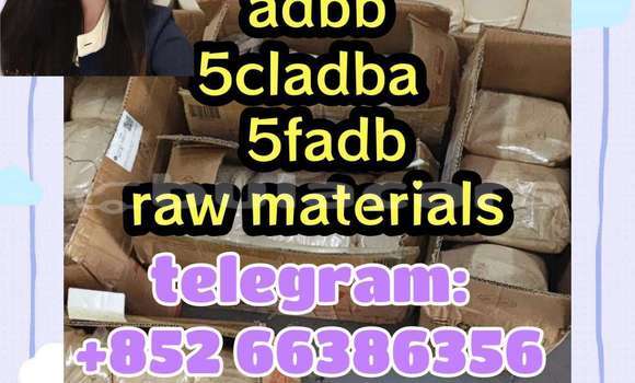 Medium with watermark 1