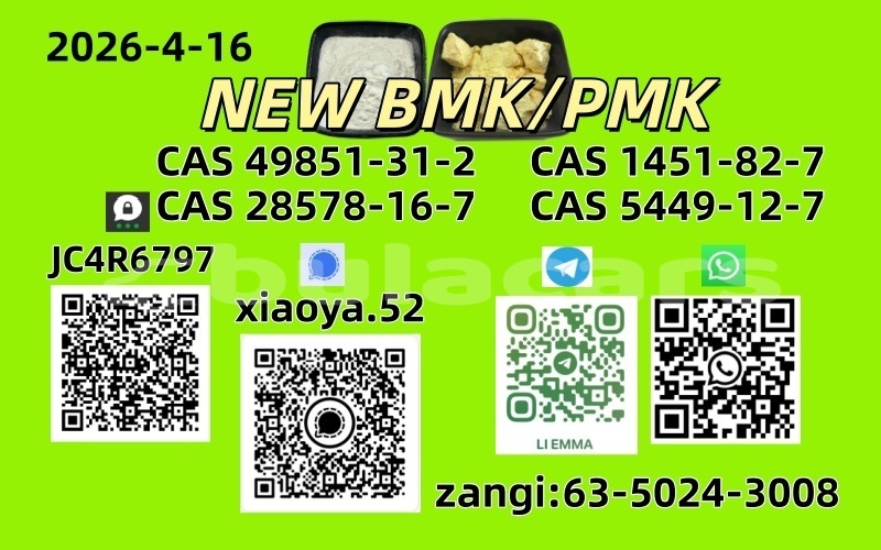 Big with watermark adler diplomat central deuba 13887