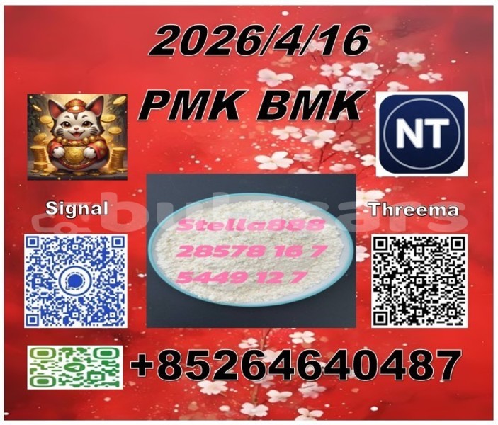 Big with watermark 48