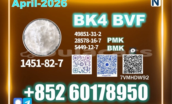 Medium with watermark bk4 2b4m cas 1451 82 7 long term