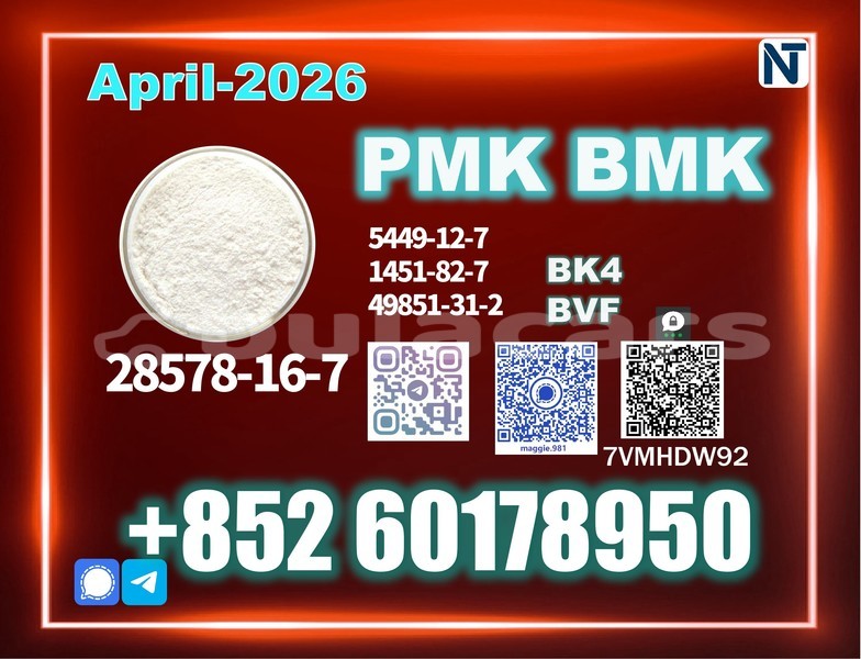 Big with watermark nissan cima western malevu 13901