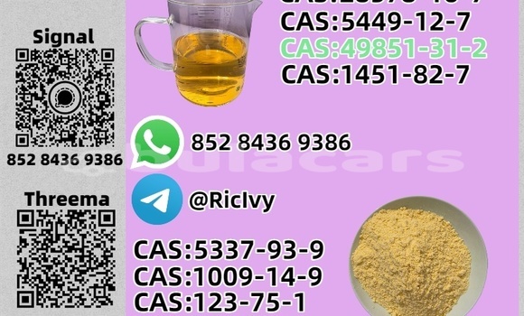 Acheter Occasion Voiture Avtokam 3101 Marron à Deuba, Central