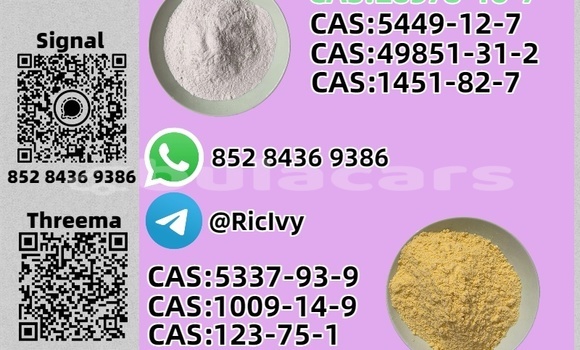 Acheter Occasion Voiture Bertone Freeclimber Bleu à Labasa, Northern Acheter Occasion Voiture Bertone Freeclimber Bleu à Labasa, Northern