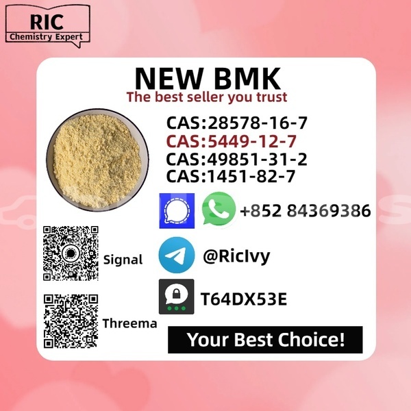 Big with watermark coggiola t rex western nadi 13918