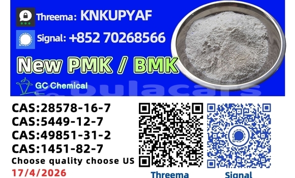 Buy Used Bristol Blenheim Green Car in Deuba in Central