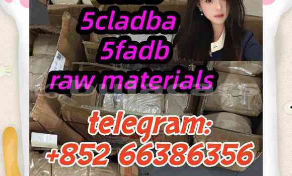 Medium with watermark 1